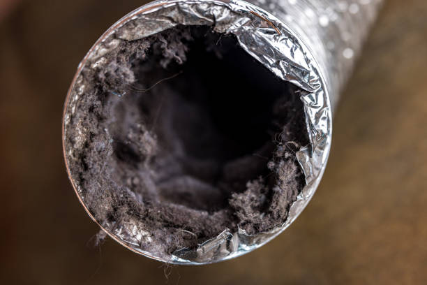 Best Air Duct Mold Removal  in Haverford College, PA